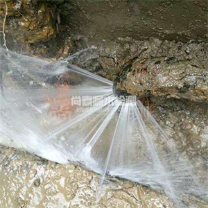 武穴消防管道漏水检测